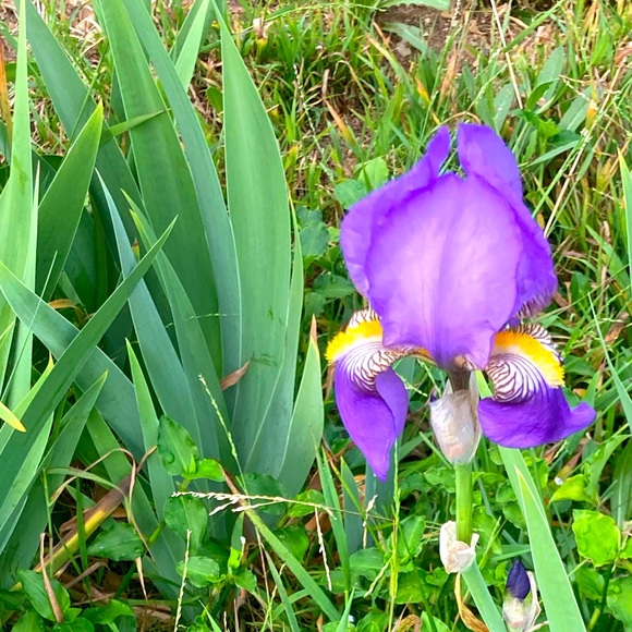 Meet your Posher, Lynn - Picture 1 of 2